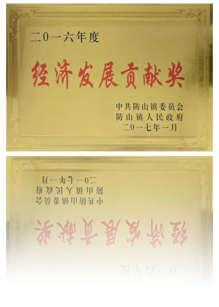 經(jīng)濟(jì)發(fā)展貢獻(xiàn)獎
